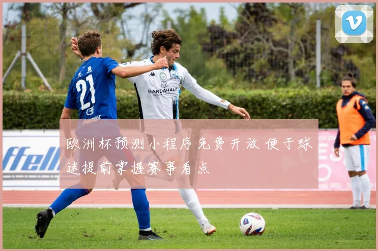 欧洲杯预测小程序免费开放 便于球迷提前掌握赛事看点