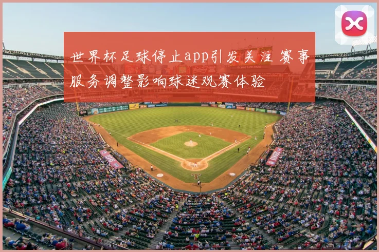世界杯足球停止app引发关注 赛事服务调整影响球迷观赛体验