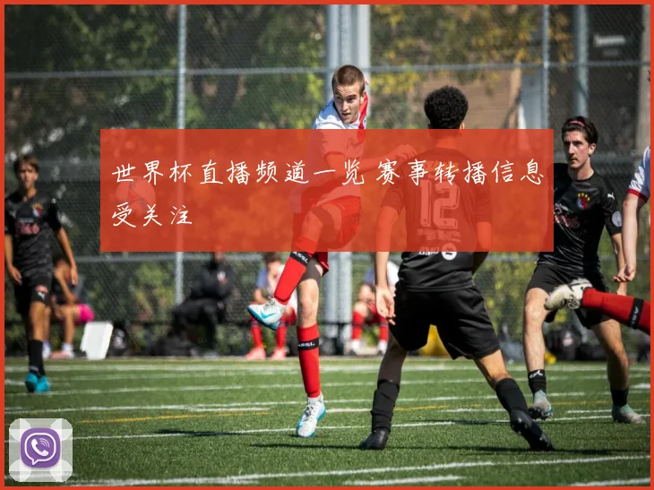 世界杯直播频道一览 赛事转播信息受关注